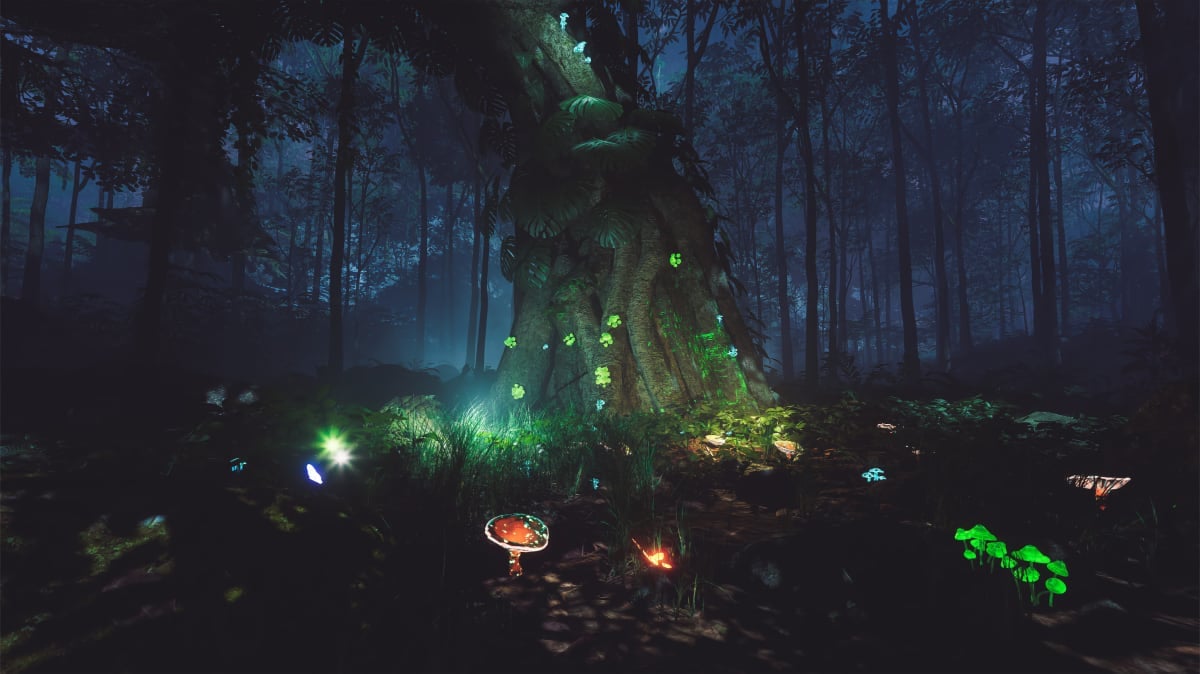 Julaymba. Image: Phoria.