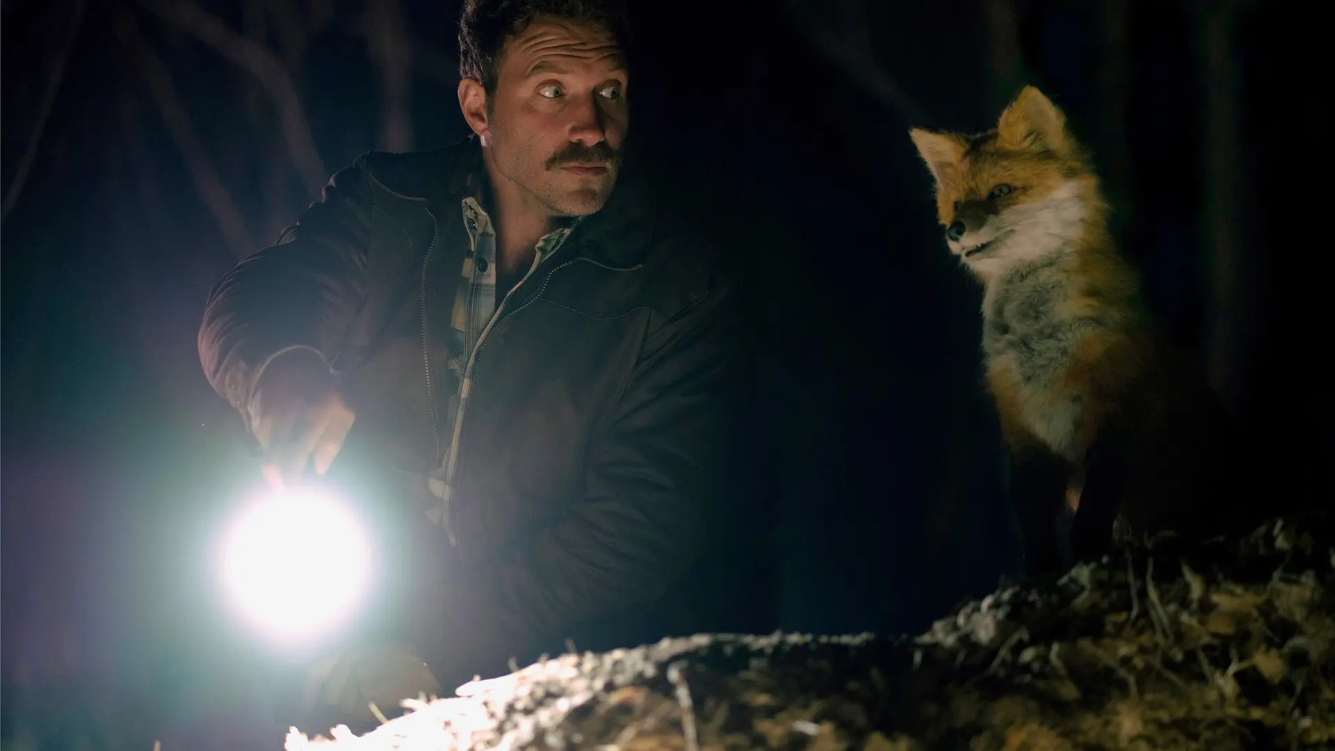 The Fox. Image: Madman Entertainment.