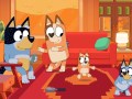 bluey tv series naidoc week 2026