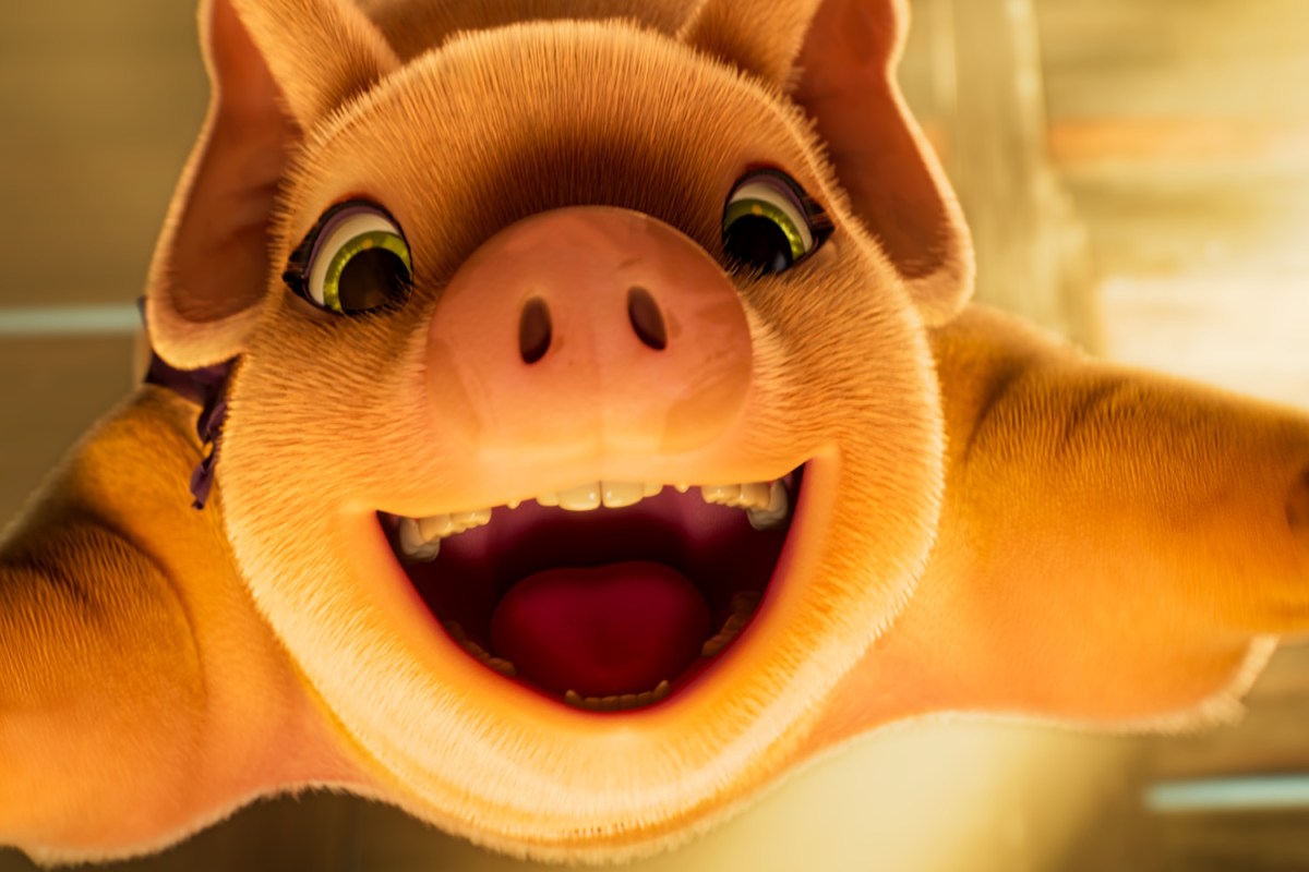 Animal Farm. Image: Rialto.