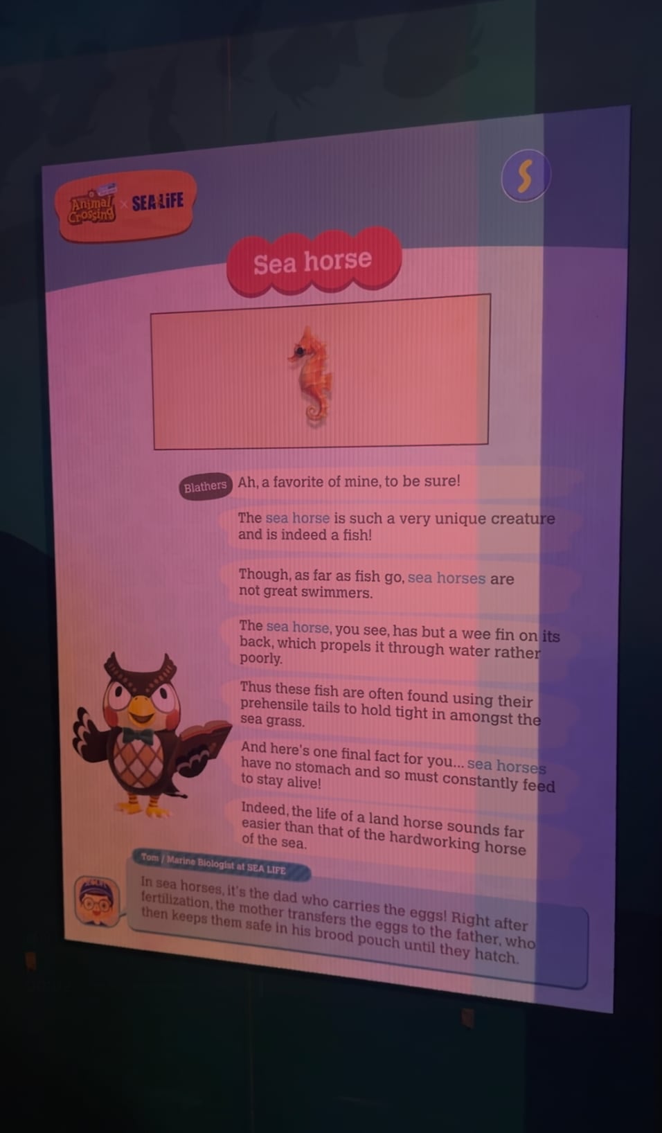 Animal Crossing Sea Life Sydney Aquarium