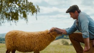 The Sheep Detectives. Image: Prime Video.