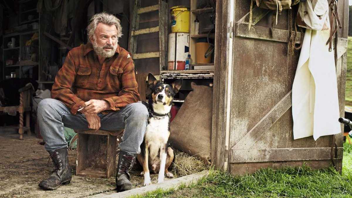 sam neill hunt for the wilderpeople best films to watch