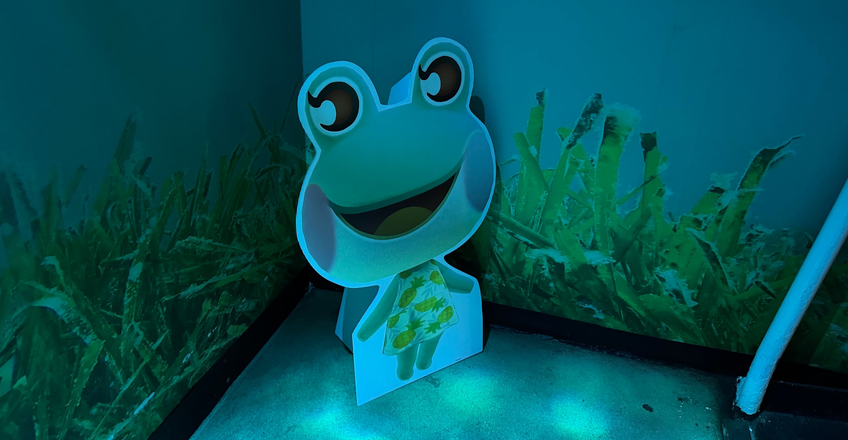Animal Crossing Sea Life Sydney Aquarium