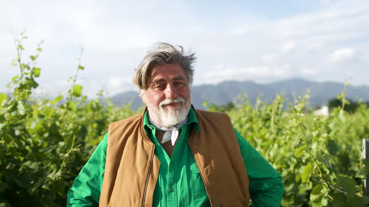 Matt Preston's Plating Locally. Image: Sbs On Demand.