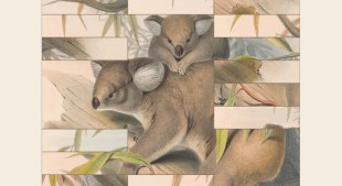 art of fauna cozy puzzles apple arcade september