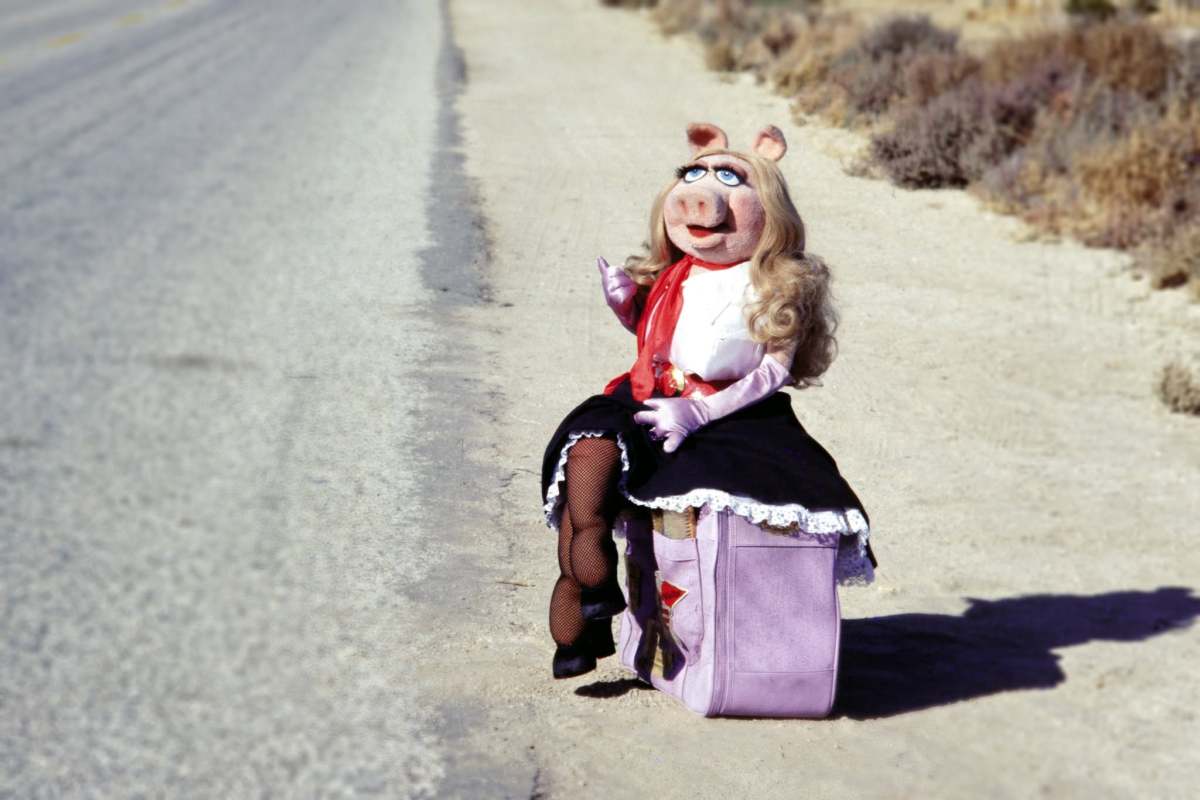 miss piggy the muppets changes