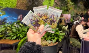 mtg the hobbit set review