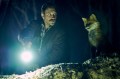 the fox film miff awards 2026