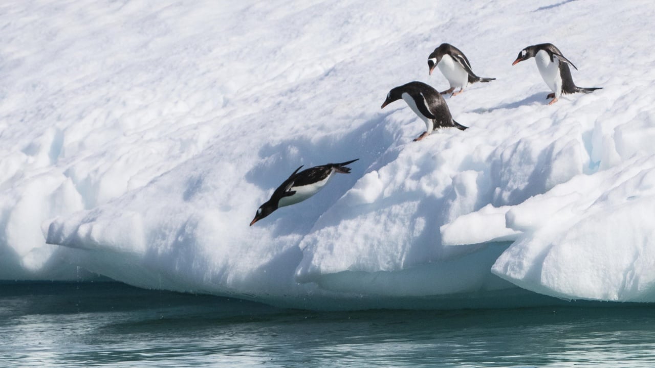 Antarctica. Image: Heliograph Productions.