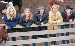 mcleods daughters revival stan