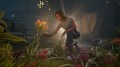 the florist game code nz funding 2026