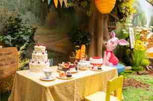 winnie the pooh grounds of alexandria
