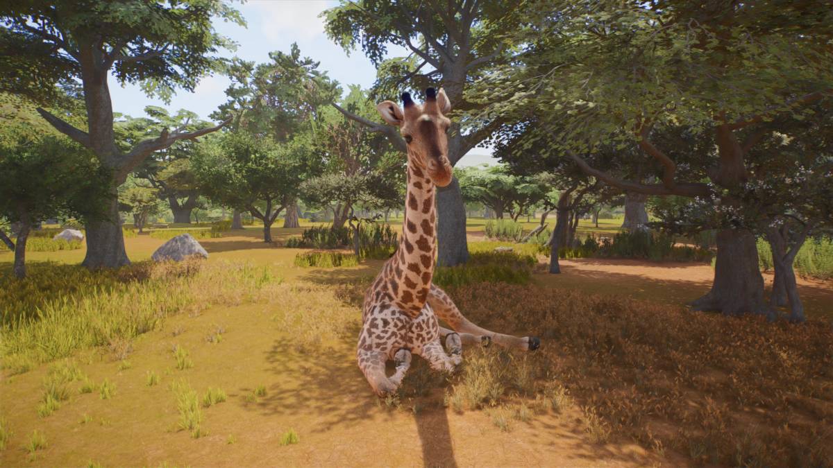 planet zoo 2 gameplay review
